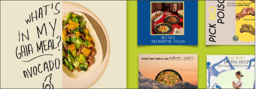 Gaia Meals Design Visuals