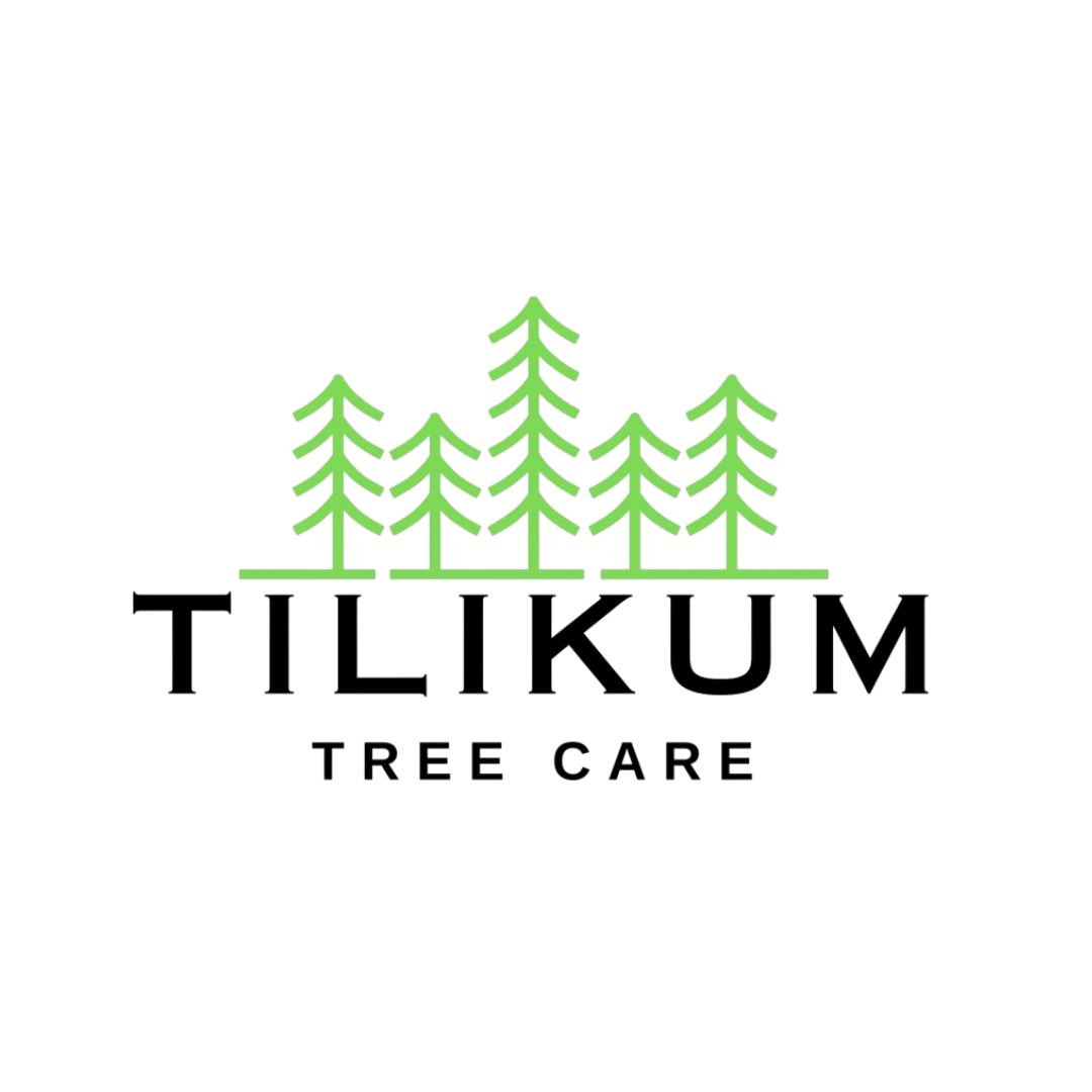 Tilikum Tree Care Logo
